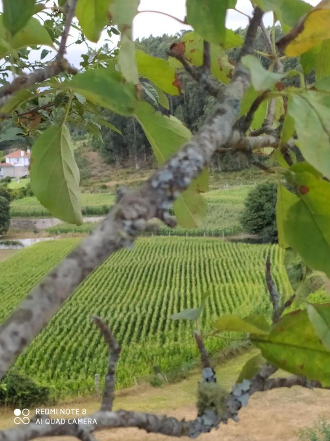 Casa Das Japoneiras Paredes de Coura Zewnętrze zdjęcie