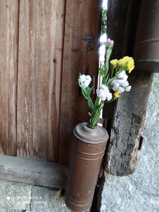 Casa Das Japoneiras Paredes de Coura Zewnętrze zdjęcie